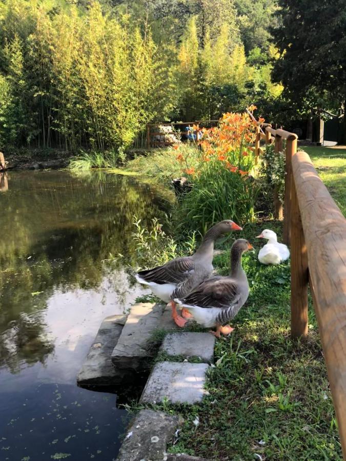 Esperia Casa Vacanza Trieste Bagian luar foto